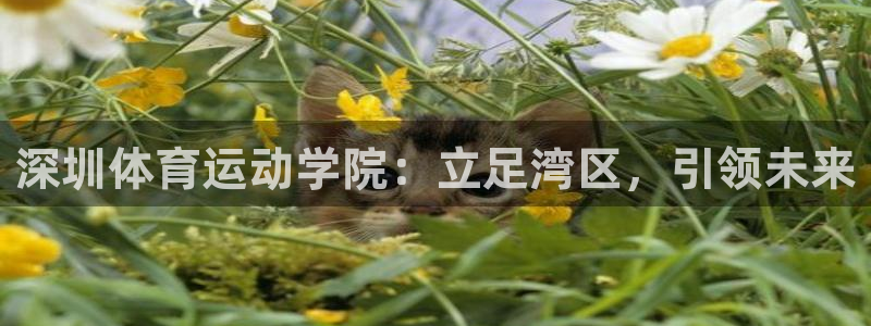 77体育app下载官网：深圳体育运动学院：立足湾区，引领未来