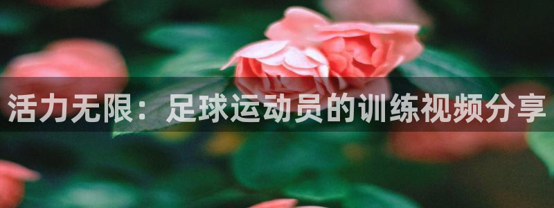 皇冠277体育：活力无限：足球运动员的训练视频分享