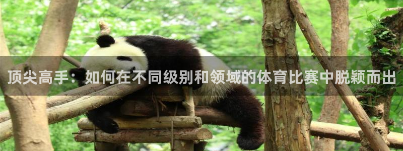 77体育app下载官网：顶尖高手：如何在不同级别和领域的体育比赛中脱颖而出