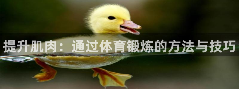 皇冠277体育：提升肌肉：通过体育锻炼的方法与技巧