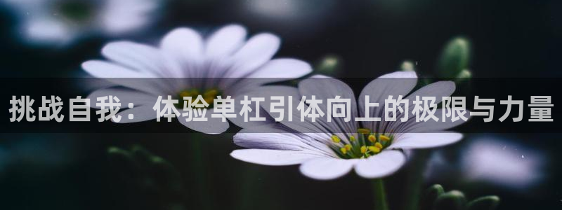 皇冠277体育：挑战自我：体验单杠引体向上的极限与力量